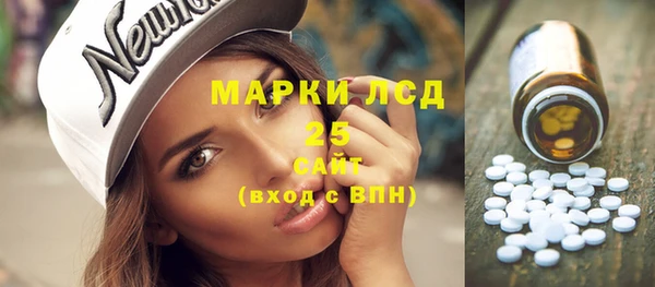 ПСИЛОЦИБИНОВЫЕ ГРИБЫ Верея