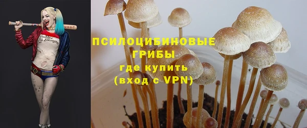 молекула духа Сафоново