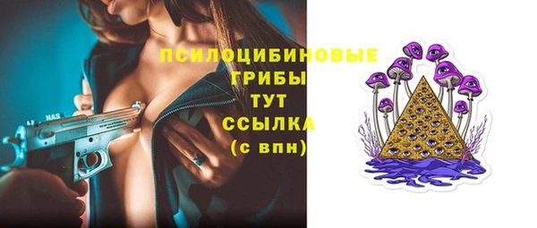ПСИЛОЦИБИНОВЫЕ ГРИБЫ Верхний Тагил