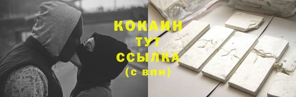 ПСИЛОЦИБИНОВЫЕ ГРИБЫ Верея