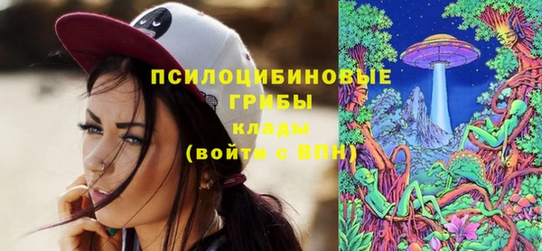 ПСИЛОЦИБИНОВЫЕ ГРИБЫ Верхний Тагил