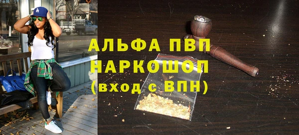ПСИЛОЦИБИНОВЫЕ ГРИБЫ Верея