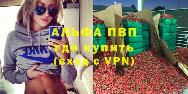 ПСИЛОЦИБИНОВЫЕ ГРИБЫ Верея