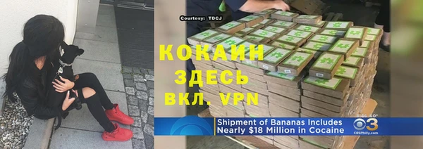 ПСИЛОЦИБИНОВЫЕ ГРИБЫ Верхний Тагил