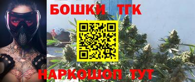 шишки Ставрополь