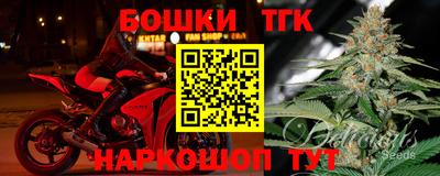 шишки Ставрополь