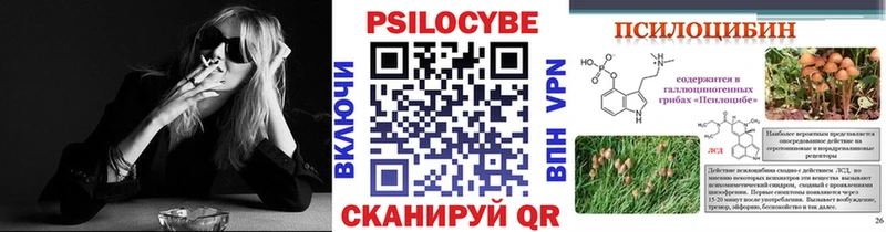 omg ССЫЛКА  Северобайкальск  Галлюциногенные грибы прущие грибы 
