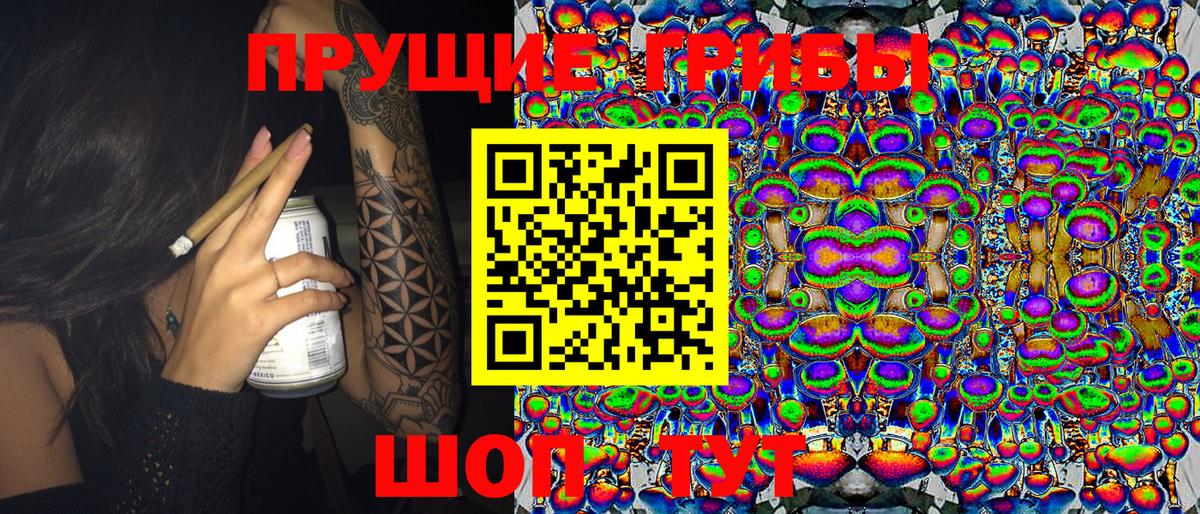 Псилоцибиновые грибы прущие грибы  Вход с VPN  Северобайкальск 