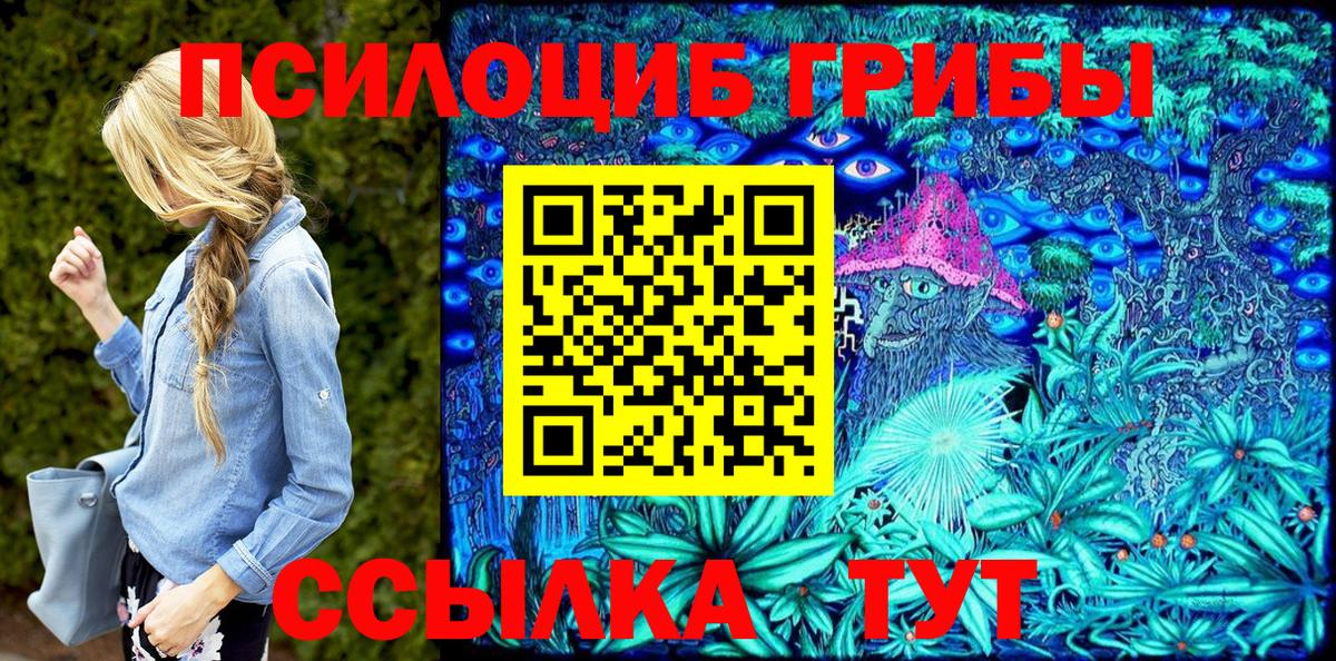Галлюциногенные грибы GOLDEN TEACHER Северобайкальск